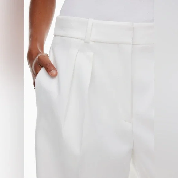 Aritzia Babaton Founder Pant Softly Structured Ultra Wide Leg Pleated Pants NWT - Picture 3 of 10